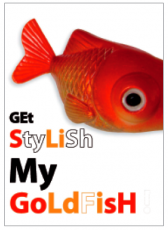 Get stylish my Goldfish!